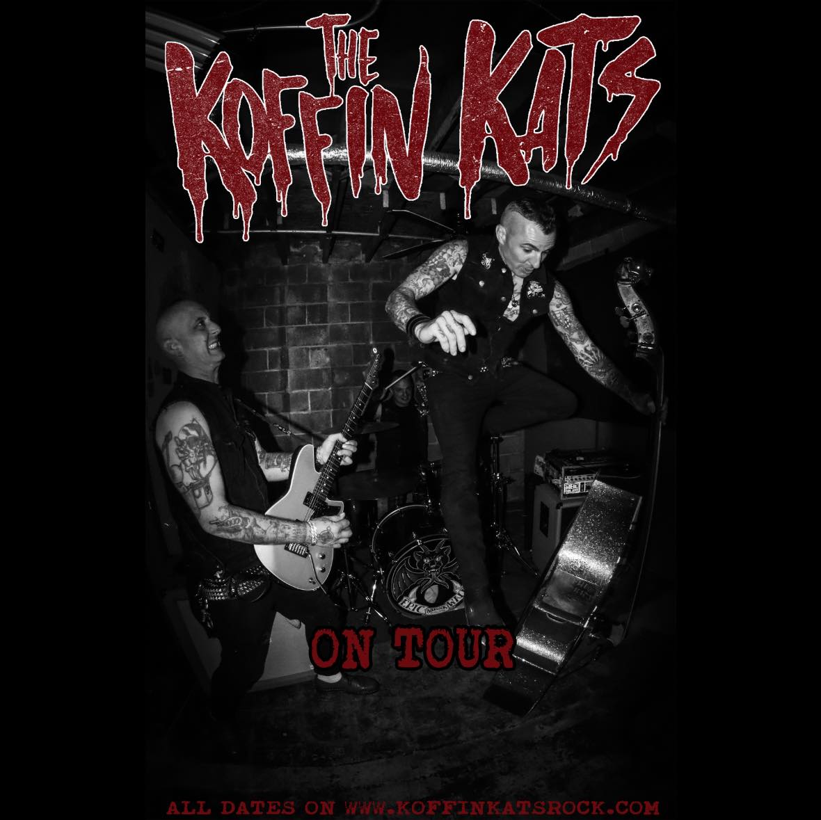 KOFFIN KATS
